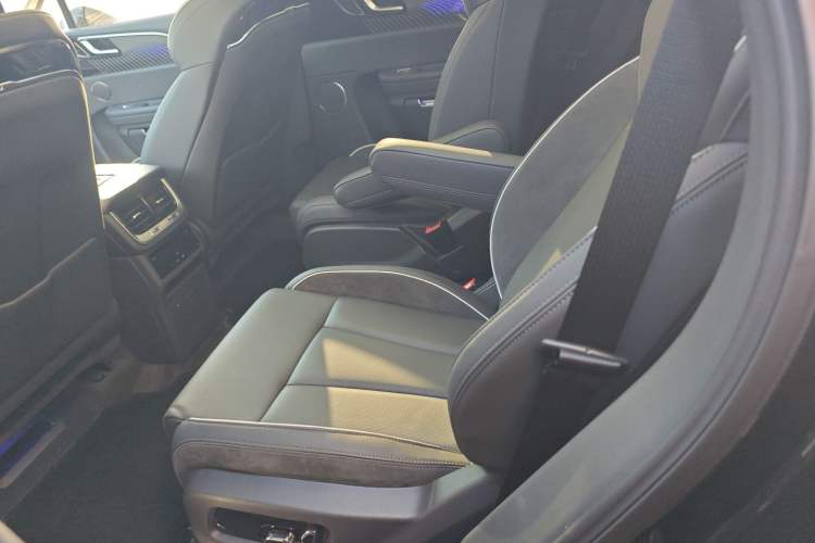 Used Hongqi E-HS9 2021 460 km Range Flagship Edition Six-Seater Left Rear Seat