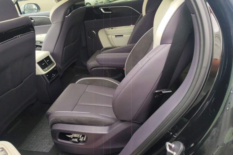 Used Hongqi E-HS9 2021 460 km Range Flagship Edition Six-Seater Left Rear Seat