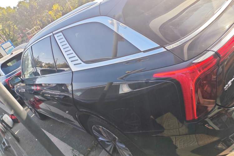 Used Hongqi E-HS9 2021 460 km Range Flagship Edition Six-Seater Left Side