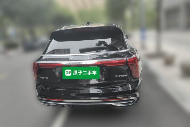 Used Hongqi E-HS9 2021 460 km Range Flagship Edition Six-Seater Rear