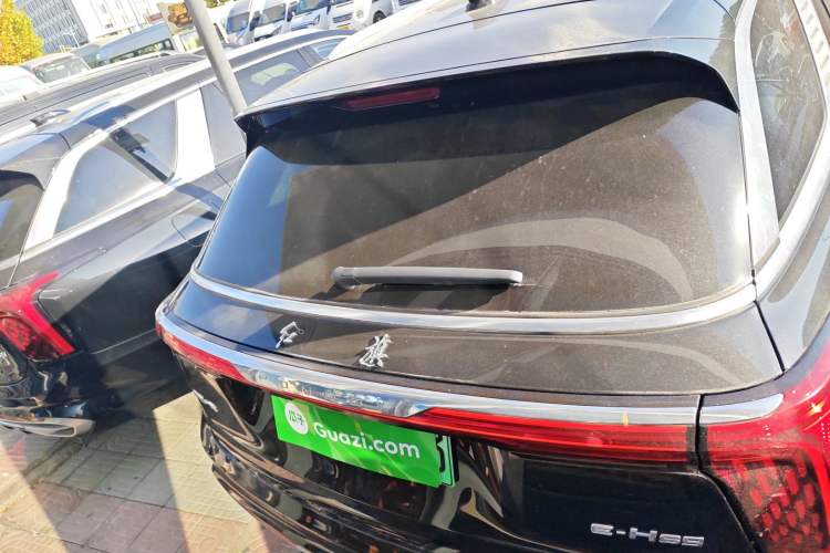 Used Hongqi E-HS9 2021 460 km Range Flagship Edition Six-Seater Rear
