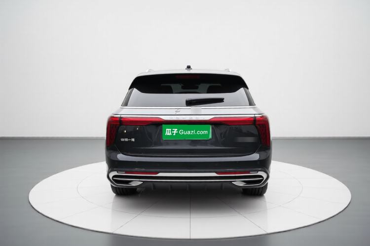 Used Hongqi E-HS9 2021 460 km Range Flagship Edition Six-Seater Rear