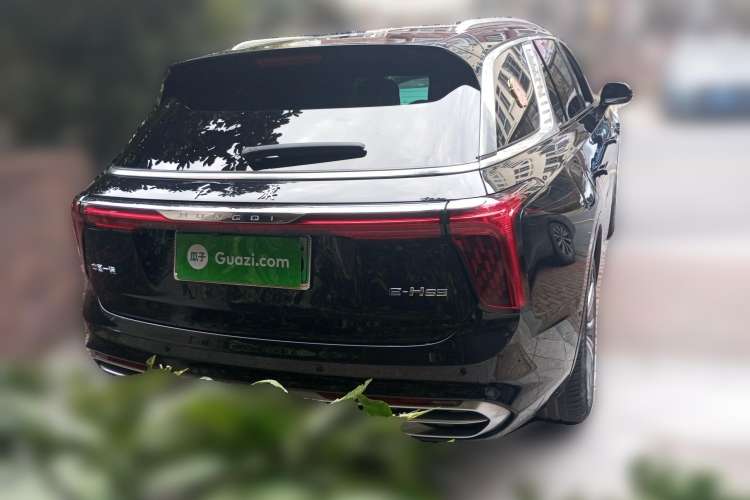 Used Hongqi E-HS9 2021 460 km Range Flagship Edition Six-Seater Rear