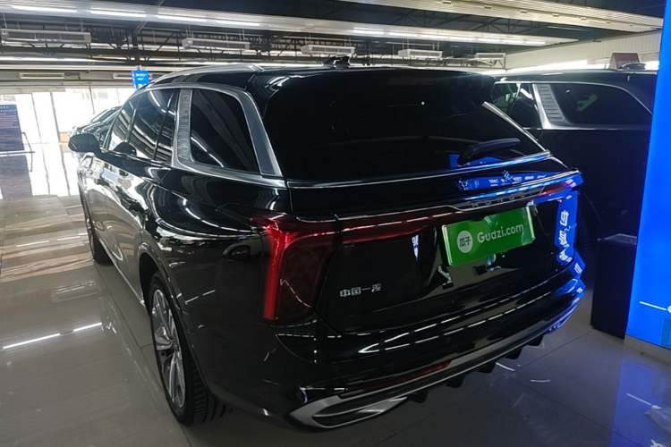 Used Hongqi E-HS9 2021 460 km Range Flagship Edition Six-Seater Rear Left 45 Deg