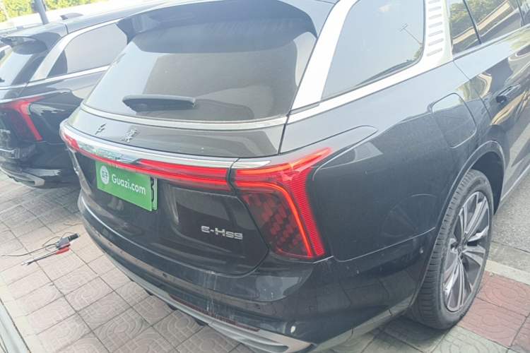 Used Hongqi E-HS9 2021 460 km Range Flagship Edition Six-Seater Rear