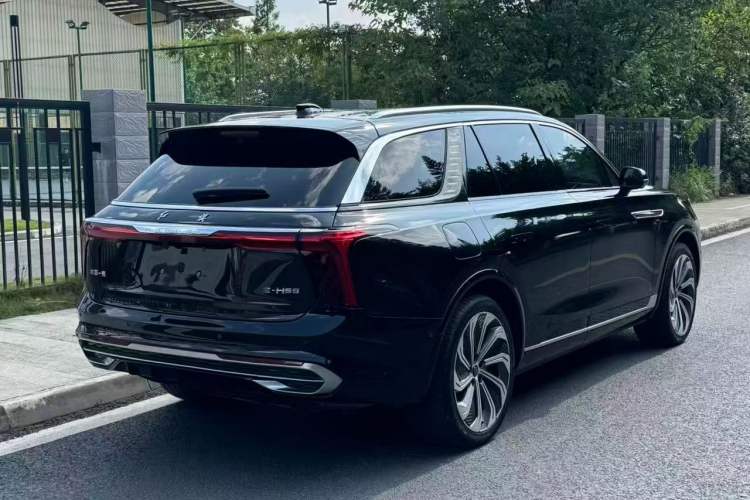 Used Hongqi E-HS9 2021 510 km Flagship Edition Four Seats Rear Right 45 Deg