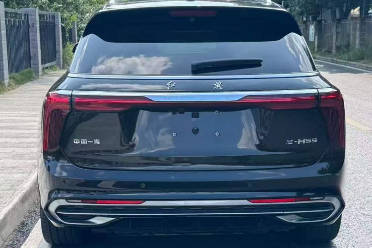 Used Hongqi E-HS9 2021 510 km Flagship Edition Four Seats Rear