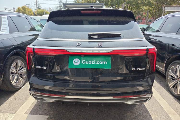 Used Hongqi E-HS9 2021 460 km Range Flagship Edition Six-Seater Rear