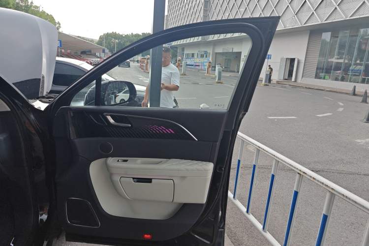 Used Hongqi E-HS9 2021 460 km Range Flagship Edition Six-Seater Right Front Door Interior