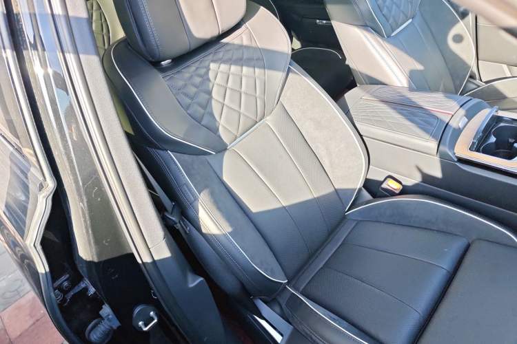Used Hongqi E-HS9 2021 460 km Range Flagship Edition Six-Seater Right Front Seat