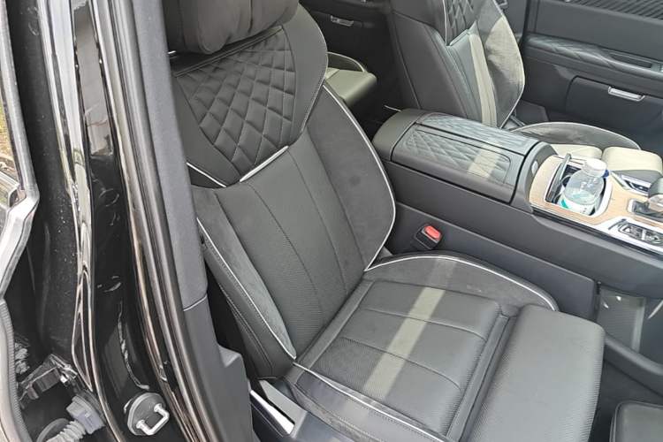 Used Hongqi E-HS9 2021 460 km Range Flagship Edition Six-Seater Right Front Seat