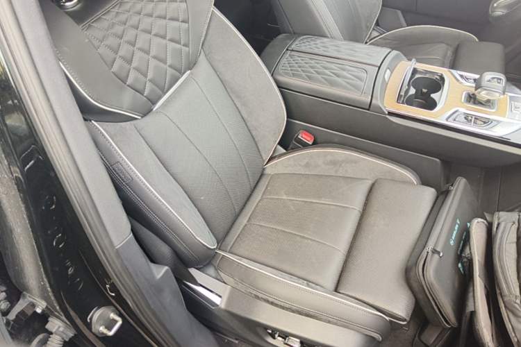 Used Hongqi E-HS9 2021 460 km Range Flagship Edition Six-Seater Right Front Seat