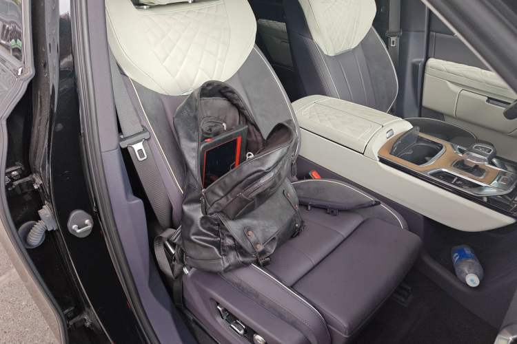 Used Hongqi E-HS9 2021 460 km Range Flagship Edition Six-Seater Right Front Seat