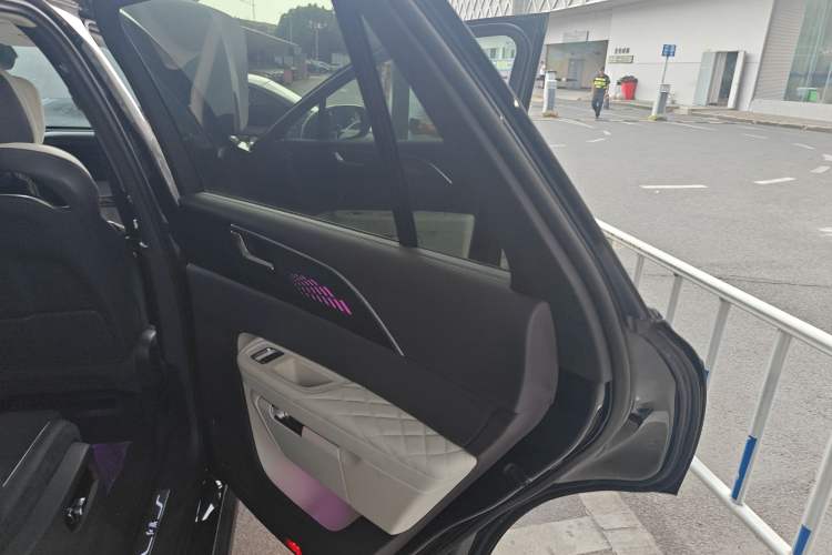 Used Hongqi E-HS9 2021 460 km Range Flagship Edition Six-Seater Right Rear Door Interior