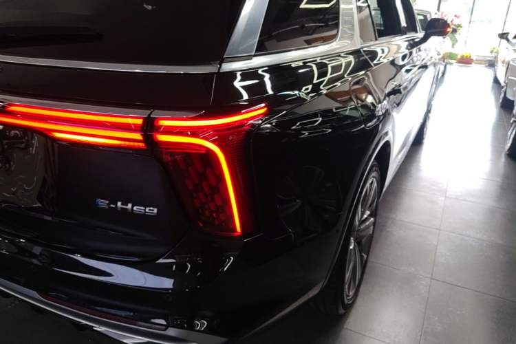 Used Hongqi E-HS9 2021 460 km Range Flagship Edition Six-Seater Right Rear Taillight