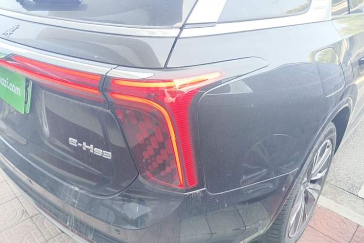 Used Hongqi E-HS9 2021 460 km Range Flagship Edition Six-Seater Right Rear Taillight