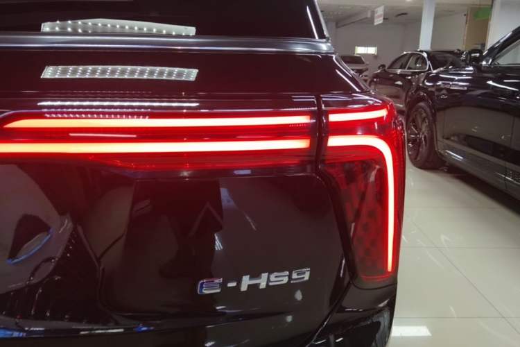 Used Hongqi E-HS9 2021 510 km Flagship Edition Four Seats Right Rear Taillight