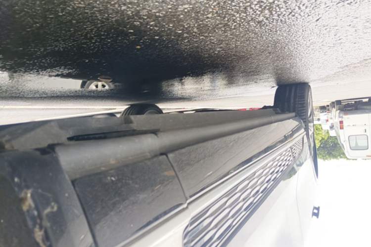 Used Hongqi E-HS9 2021 460 km Range Flagship Edition Six-Seater Right Side Sill
