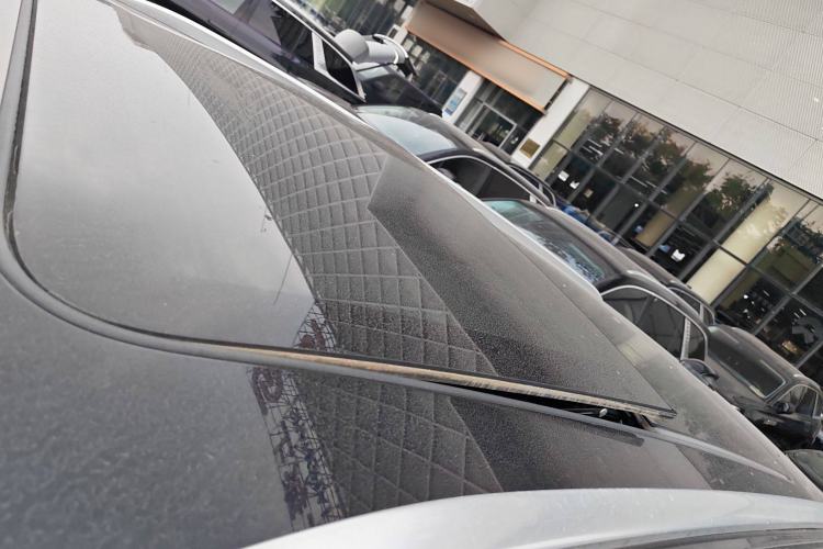 Used Hongqi E-HS9 2021 460 km Range Flagship Edition Six-Seater Roof