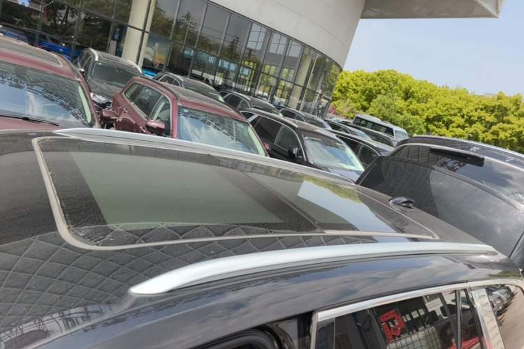 Used Hongqi E-HS9 2021 460 km Range Flagship Edition Six-Seater Roof