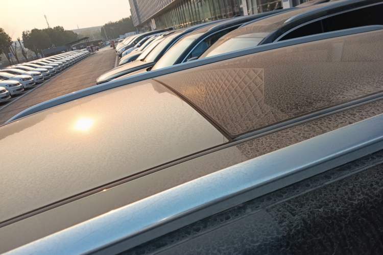 Used Hongqi E-HS9 2021 460 km Range Flagship Edition Six-Seater Roof