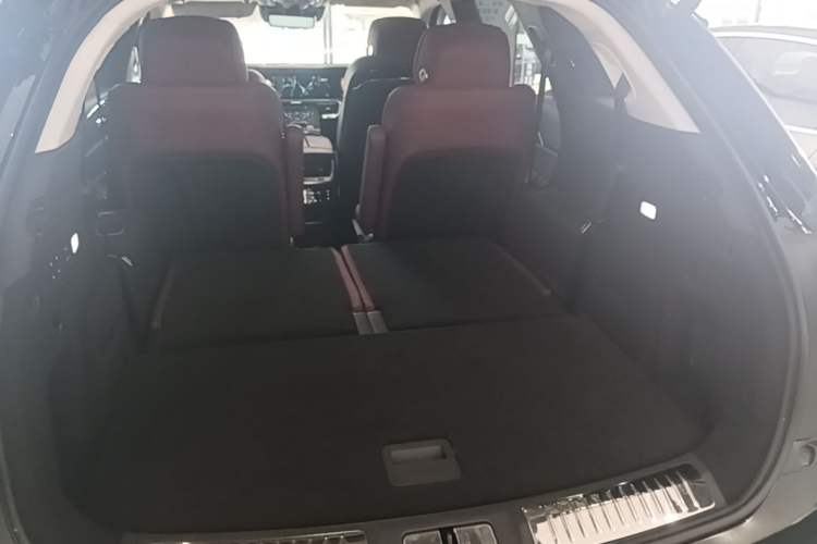 Used Hongqi E-HS9 2021 510 km Range Flagway Edition Six Seats Trunk