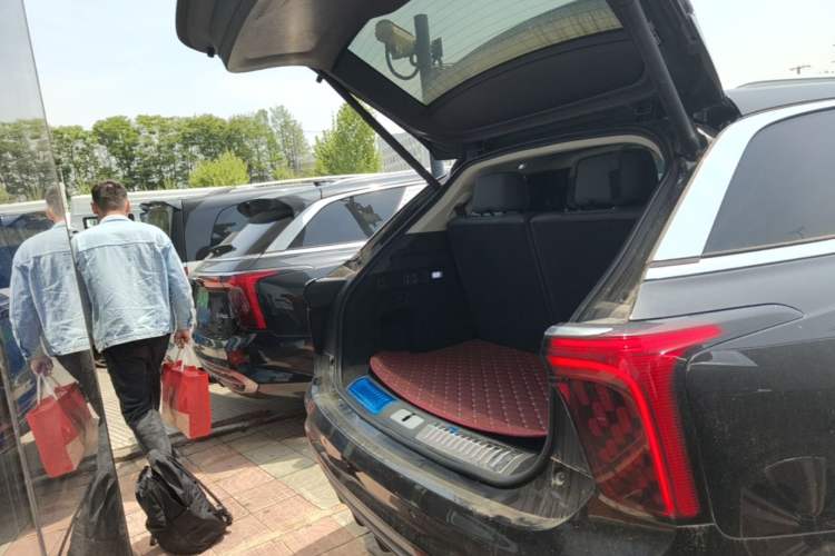 Used Hongqi E-HS9 2021 460 km Range Flagship Edition Six-Seater Trunk