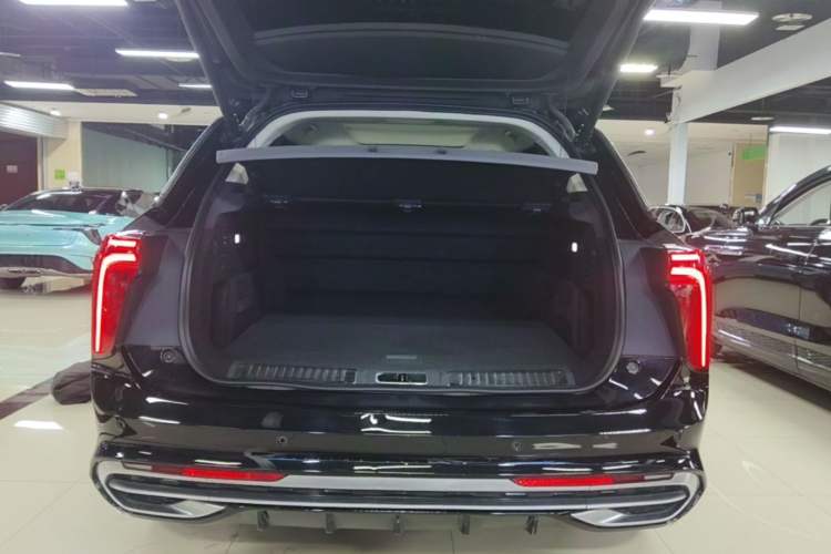 Used Hongqi E-HS9 2021 510 km Flagship Edition Four Seats Trunk