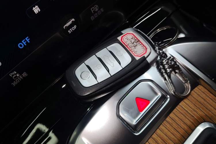 Used Hongqi E-HS9 2021 460 km Range Flagship Edition Six-Seater Vehicle Key