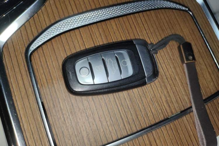 Used Hongqi E-HS9 2021 510 km Flagship Edition Four Seats Vehicle Key