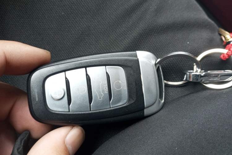 Used Hongqi E-HS9 2021 460 km Range Flagship Edition Six-Seater Vehicle Key