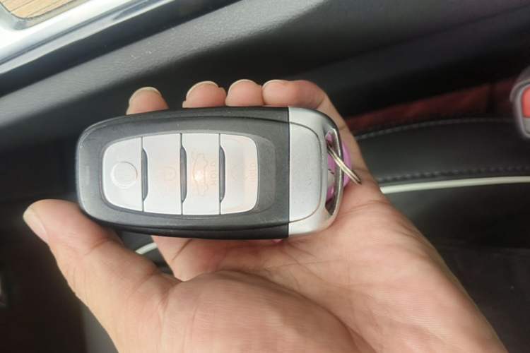 Used Hongqi E-HS9 2021 460 km Range Flagship Edition Six-Seater Vehicle Key
