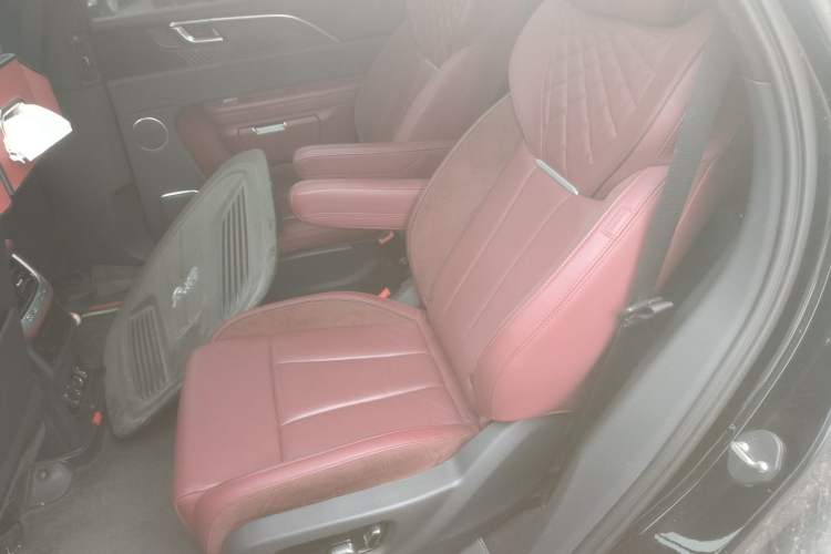 Used Hongqi E-HS9 2021 460 km Range Flagship Edition Six-Seater Left Rear Seat