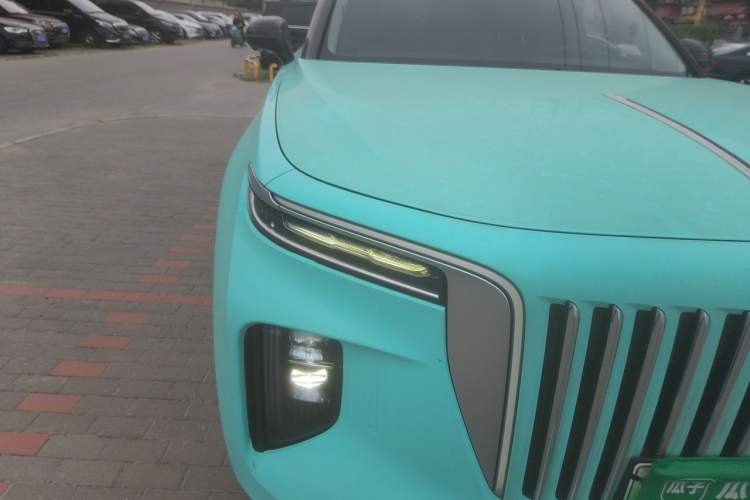 Used Hongqi E-HS9 2021 460 km Range Flagship Edition Six-Seater Right Front Headlight