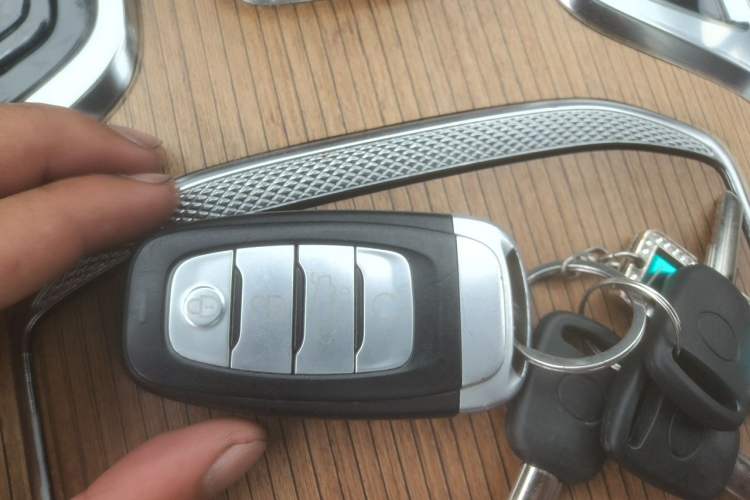 Used Hongqi E-HS9 2021 460 km Range Flagship Edition Six-Seater Vehicle Key