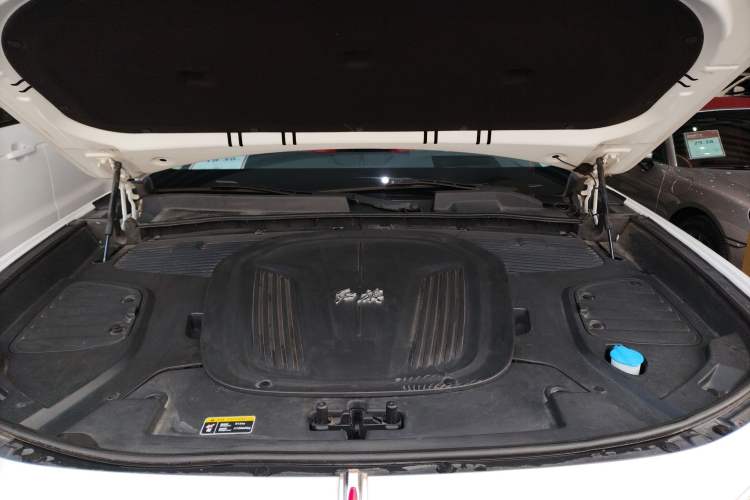 Used Hongqi E-HS9 2021 510 km Flagship Edition Four Seats Engine Bay