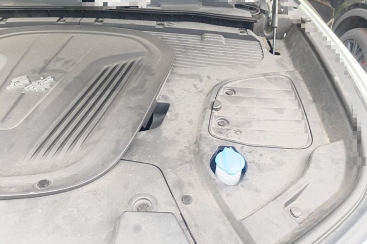 Used Hongqi E-HS9 2021 510 km Flagship Edition Four Seats Engine Bay Left