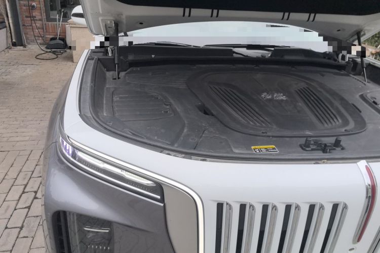 Used Hongqi E-HS9 2021 510 km Range Flagway Edition Six Seats Engine Bay Right