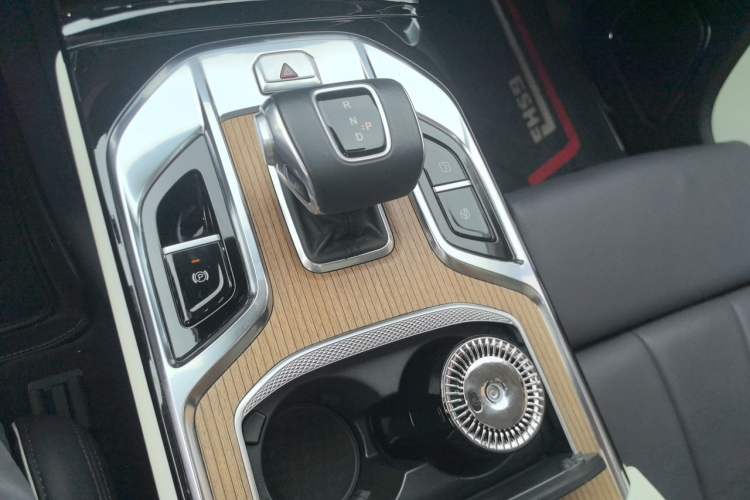 Used Hongqi E-HS9 2021 510 km Range Flagway Edition Six Seats Gear Lever