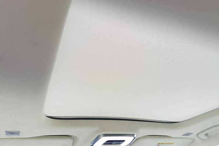 Used Hongqi E-HS9 2021 510 km Flagship Edition Four Seats Headliner