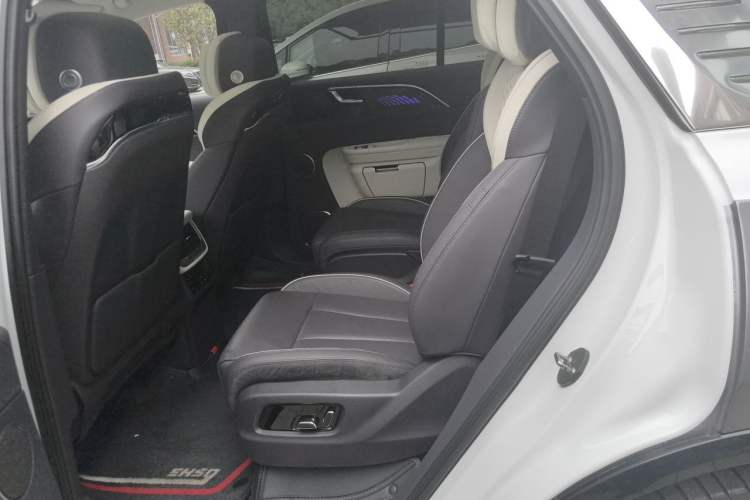 Used Hongqi E-HS9 2021 510 km Range Flagway Edition Six Seats Left Rear Seat