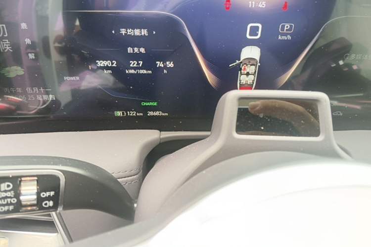 Used Hongqi E-HS9 2021 510 km Flagship Edition Four Seats Odometer Close Up