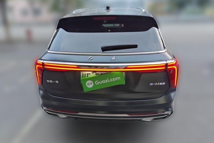 Used Hongqi E-HS9 2021 510 km Range Flagway Edition Six Seats Rear