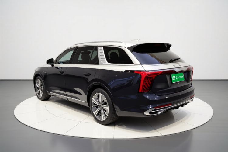 Used Hongqi E-HS9 2021 460 km Range Flagship Edition Six-Seater Rear Left 45 Deg