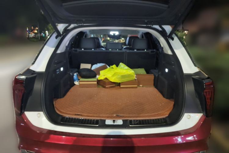 Used Hongqi E-HS9 2021 460 km Range Flagship Edition 7-Seater Trunk