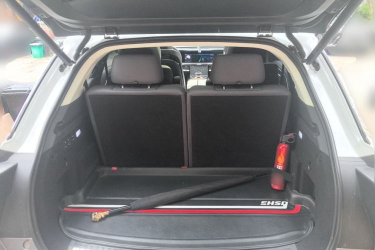 Used Hongqi E-HS9 2021 510 km Range Flagway Edition Six Seats Trunk