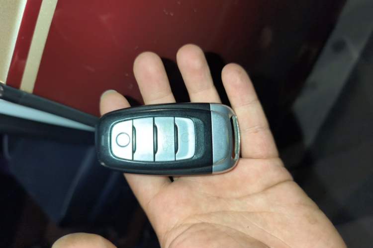 Used Hongqi E-HS9 2021 460 km Range Flagship Edition 7-Seater Vehicle Key