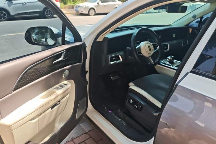 Used Hongqi E-HS9 2021 510 km Flagship Edition Four Seats Driver Seat