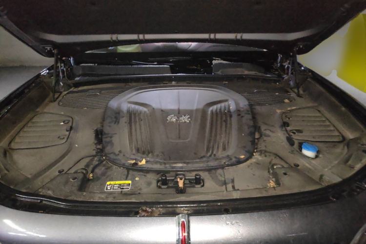 Used Hongqi E-HS9 2021 510 km Range Flagway Edition Six Seats Engine Bay
