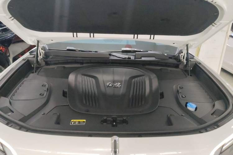 Used Hongqi E-HS9 2021 510 km Flagship Edition Four Seats Engine Bay